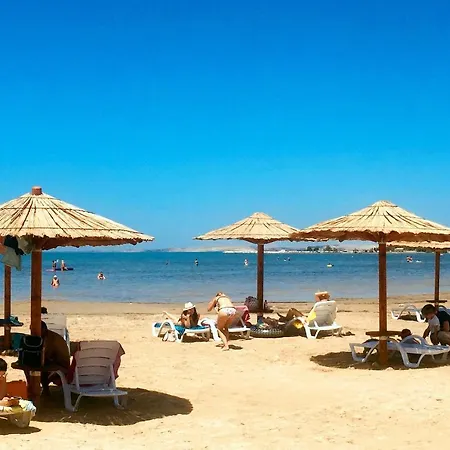 Casa vacanze Family Friendly House With A Swimming Pool Lovinac, Novigrad - 18668 *